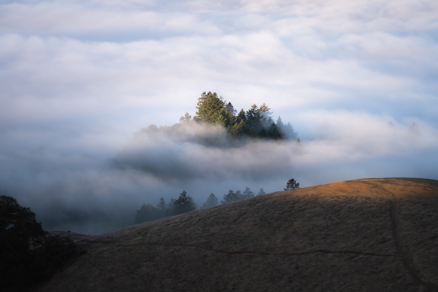 Peaks above a sea of clouds